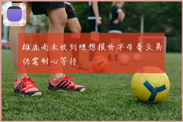 雄鹿尚未收到理想报价字母哥交易仍需耐心等待
